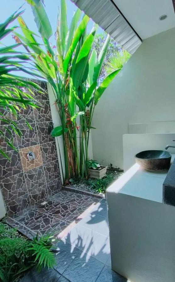 גילי אייר Pineapple Guest House מראה חיצוני תמונה